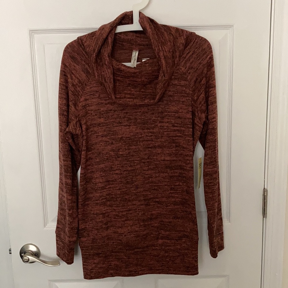 ❤️PERSEPTION CONCEPTS SIZE L SWEATEE TOP NWT
